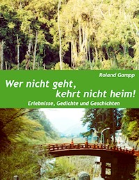Wer nicht geht, kehrt nicht heim - Roland Gampp - E-Book