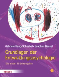 Grundlagen der Entwicklungspsychologie - Gabriele Haug-Schnabel - E-Book