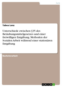Unterschiede zwischen §35 des Betäubungsmittelgesetzes und einer freiwilligen Entgiftung. Methoden der Sozialen Arbeit während einer stationären Entgiftung - Tabea Lenz - E-Book