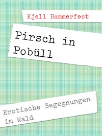 Pirsch in Pobüll - Kjell Hammerfest - E-Book