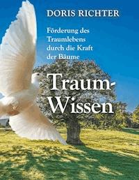 Traum - Wissen - Doris Richter - E-Book