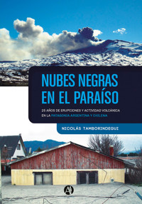 Nubes negras en el paraíso - Nicolás Tamborindegui - E-Book