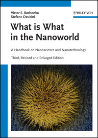 What is What in the Nanoworld - Victor E. Borisenko - E-Book