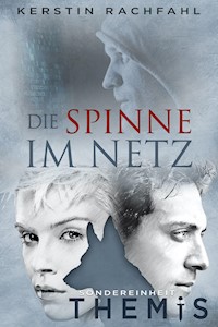 Die Spinne im Netz - Kerstin Rachfahl - E-Book