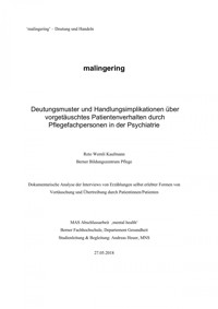 Malingering - Reto Wernli Kaufmann - E-Book