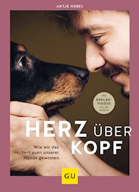 Herz über Kopf - Antje Hebel - E-Book