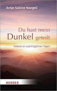 Du hast mein Dunkel geteilt - Antje Sabine Naegeli - E-Book