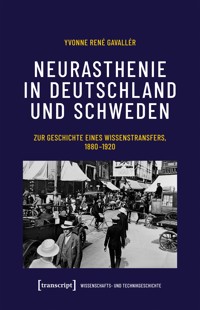 Neurasthenie in Deutschland und Schweden - Yvonne René Gavallér - kostenlos E-Book