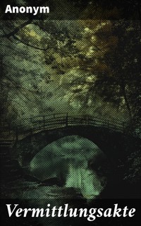 Vermittlungsakte - Anonym - E-Book