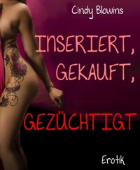 Inseriert, gekauft, gezüchtigt - Cindy Blowins - E-Book