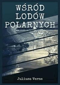 Wśród lodów polarnych - Juliusz Verne - E-Book