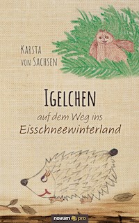 Igelchen auf dem Weg ins Eisschneewinterland - Karsta von Sachsen - E-Book