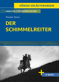 Der Schimmelreiter von Theodor Storm - Textanalyse und Interpretation - Theodor Storm - E-Book
