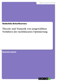 Theorie und Numerik von ausgewählten Verfahren der nichtlinearen Optimierung - Nadeshda Botschkarewa - E-Book