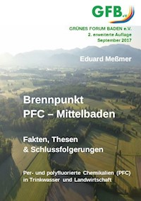 Brennpunkt PFC - Mittelbaden - Eduard Meßmer - E-Book
