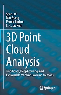 3D Point Cloud Analysis - Shan Liu - E-Book