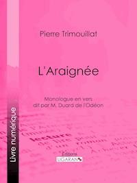 L'Araignée - Pierre Trimouillat - E-Book