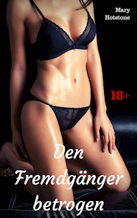 Den Fremdgänger betrogen - Mary Hotstone - E-Book