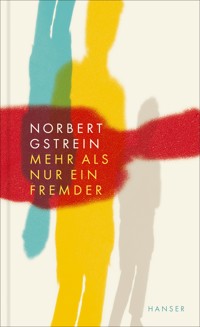 Mehr als nur ein Fremder - Norbert Gstrein - E-Book