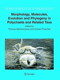 Morphology, Molecules, Evolution and Phylogeny in Polychaeta and Related Taxa - - E-Book