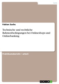 Technische und rechtliche Rahmenbedingungen bei Onlineshops und Onlinebanking - Fabian Sachs - E-Book