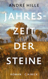 Jahreszeit der Steine - André Hille - E-Book