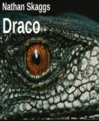 Draco - Nathan Skaggs - E-Book