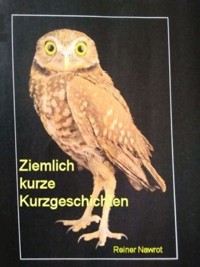 Ziemlich kurze Kurzgeschichten - reiner nawrot - E-Book