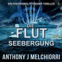 Die Flut: Seebergung - Anthony J. Melchiorri - Hörbuch