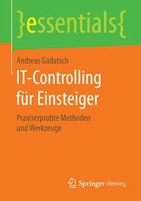 IT-Controlling für Einsteiger - Andreas Gadatsch - E-Book