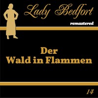 Folge 14: Der Wald in Flammen -  - Hörbuch