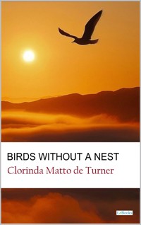 Birds without a Nest - Clorinda Matto de Turner - E-Book