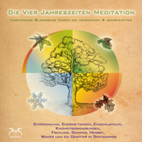 Die Vier Jahreszeiten Meditation - SyncSouls Natur-Meditationen Vol. 1 - geführte Meditation - Durch Frühling, Sommer, Herbst und Winter (Ungekürzt) - Torsten Abrolat - Hörbuch