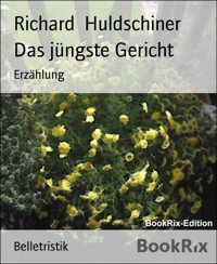 Das jüngste Gericht - Richard Huldschiner - E-Book
