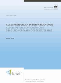 Ausschreibungen in der Windenergie - Gary Hohlstein - E-Book