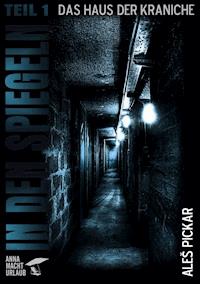 In den Spiegeln - Teil 1 - Ales Pickar - E-Book