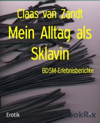 Mein Alltag als Sklavin - Claas van Zandt - E-Book