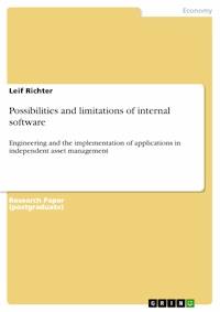 Possibilities and limitations of internal software - Leif Richter - E-Book