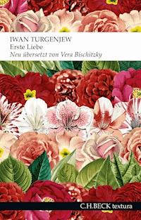 Erste Liebe - Iwan Turgenjew  - E-Book