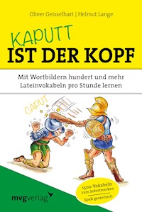 Kaputt ist der Kopf - Oliver Geisselhart - E-Book