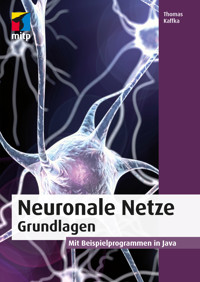 Neuronale Netze - Grundlagen - Thomas Kaffka - E-Book