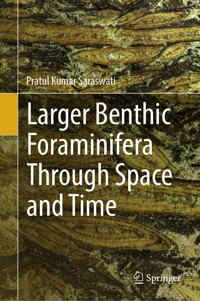 Larger Benthic Foraminifera Through Space and Time - Pratul Kumar Saraswati - E-Book
