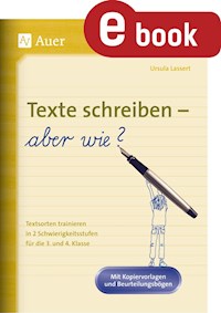 Texte schreiben - aber wie - Ursula Lassert - E-Book