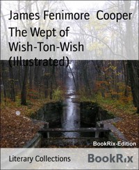 The Wept of Wish-Ton-Wish (Illustrated) - James Fenimore Cooper - E-Book