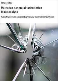 Methoden der projektorientierten Risikoanalyse - Torsten Stau - E-Book