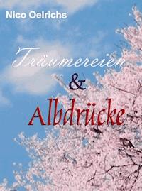 Träumereien und Albdrücke - Nico Oelrichs - E-Book