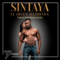 Sintaya - Francisco Javier Romero Sánchez - Hörbuch