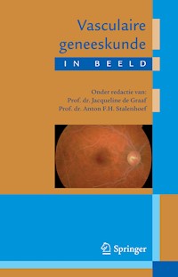 Vasculaire geneeskunde in beeld -  - E-Book