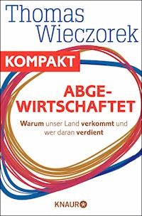 Abgewirtschaftet - Warum unser Land verkommt und wer daran verdient - Thomas Wieczorek - E-Book