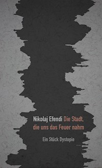 Die Stadt, die uns das Feuer nahm - Nikolaj Efendi - E-Book